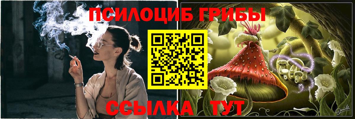 Галлюциногенные грибы Cubensis Кудрово