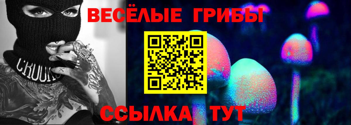 Галлюциногенные грибы Magic Shrooms  цены   Кудрово  Вход с VPN 